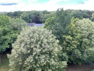 Sonnige 3,5 Zimmer mit Loggia & Weitblick – Ruhige Lage in Schwalbach, 65824 Schwalbach, Wohnung